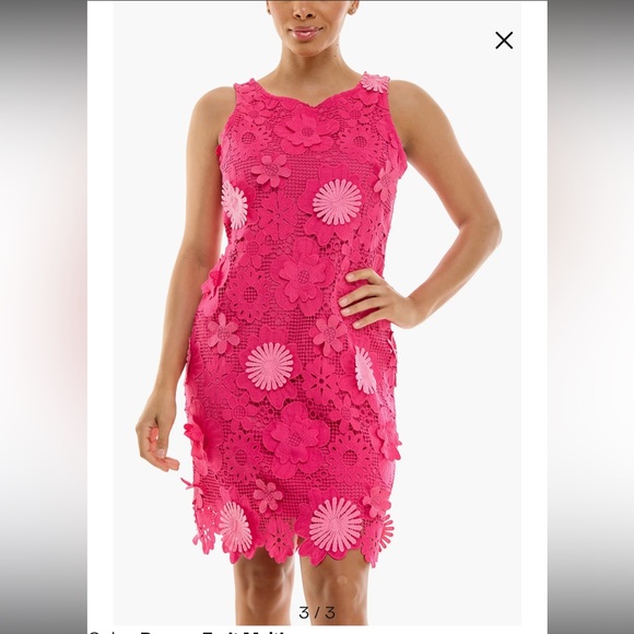 Nina Leonard Dresses & Skirts - NWT Nina Leonard Sleeveless 3D Floral Lace Midi Dress Dragon Fruit Multi Size XL
